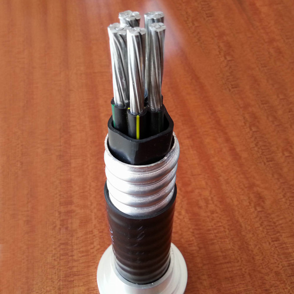 ���Ͻ����