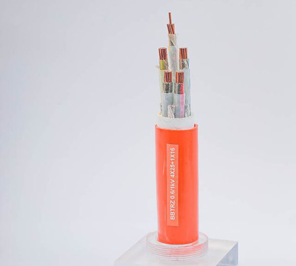 BBTRZ�������