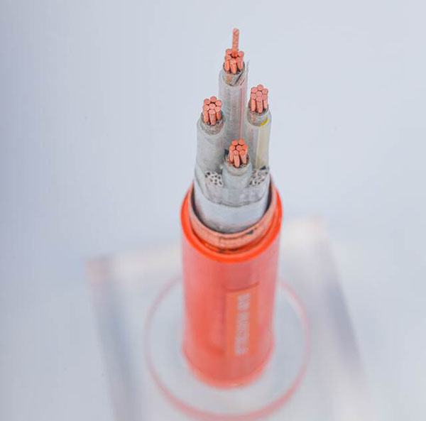 BTTRZ�������