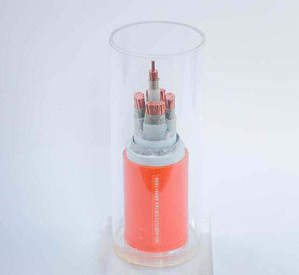 NG-A(BTLY)�������