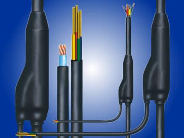 Ԥ�Ʒ�֧����